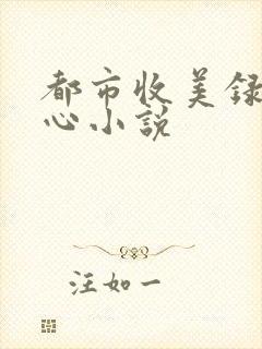 都市收美录宁素心小说