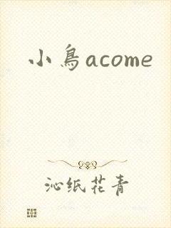 小鸟acome