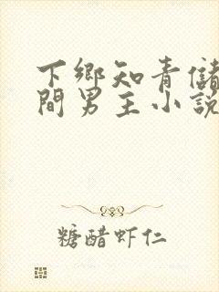 下乡知青储物空间男主小说