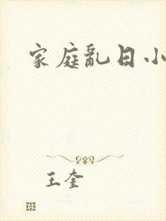 家庭乱日小说