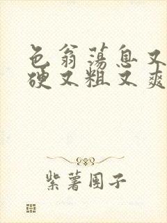 色翁荡息又大又硬又粗又爽电影