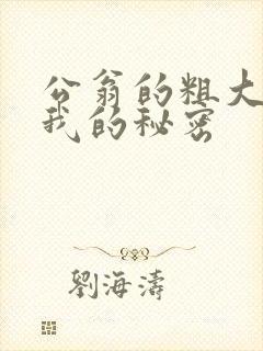 公翁的粗大放进我的秘密