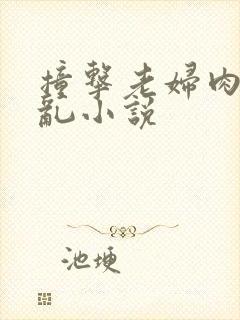 撞击老妇肉体之乱小说