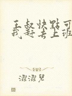 王叔快点可以吗我赶去上班