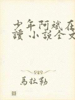 少年阿斌在线阅读 小说全文免费