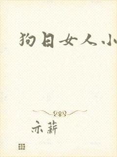 狗日女人小说