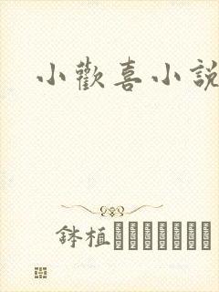 小欢喜小说