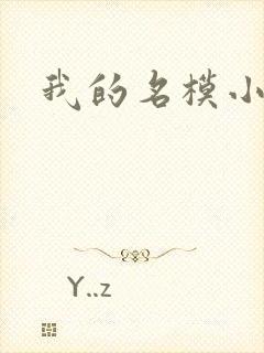 我的名模小娇妻