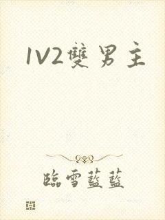 1V2双男主
