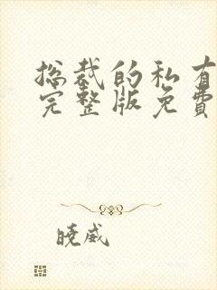 总裁的私有宝贝完整版免费阅读