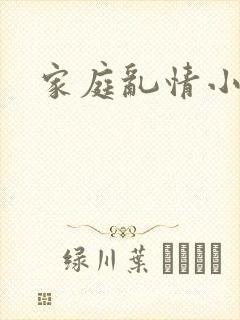 家庭乱情小说