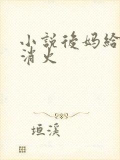 小说后妈给我消消火