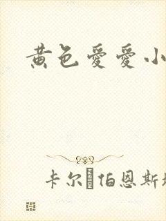 黄色爱爱小说