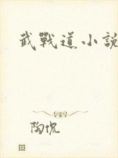 武战道小说