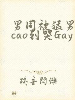 男同被猛男房东cao到哭Gay