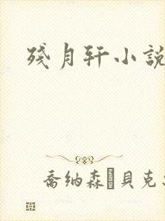 残月轩小说网