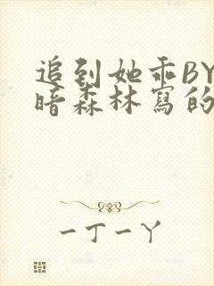 追到她乖BY黑暗森林写的小说