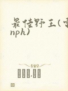 最佳野王(电竞nph)