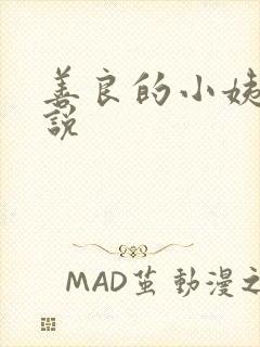 善良的小姨子小说