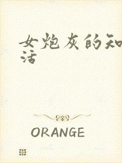 女炮灰的知青生活