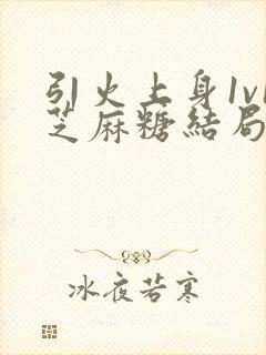 引火上身1v1芝麻糖结局