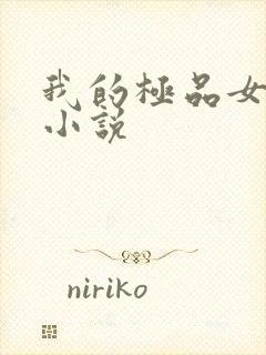 我的极品女老师小说