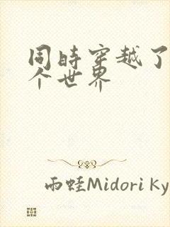 同时穿越了99个世界