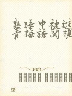 熟睡中被进了H青梅诱哄视频