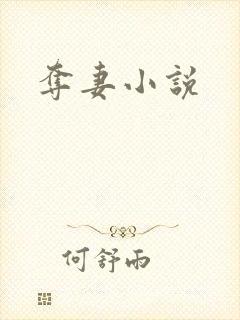 夺妻小说