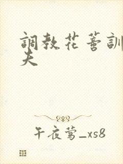 调教花蒂训诫从夫