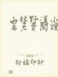 山林野汉小说全篇免费阅读