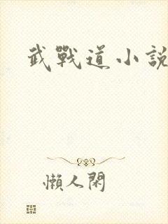 武战道小说