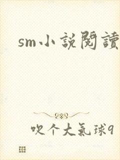 sm小说阅读