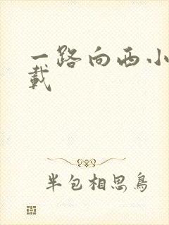 一路向西小说下载