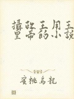 摄政王用玉髓整皇帝的小说