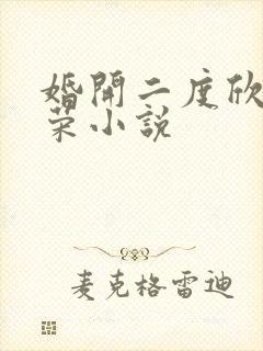 婚开二度欣欣向荣小说