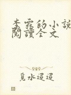 李霖的小说免费阅读全文