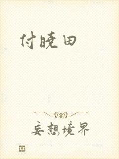 付晓田