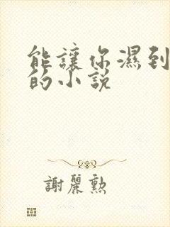 能让你湿到不行的小说