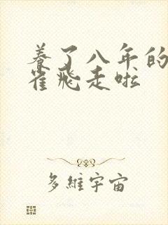 养了八年的金丝雀飞走啦