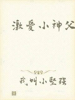 激爱小神父