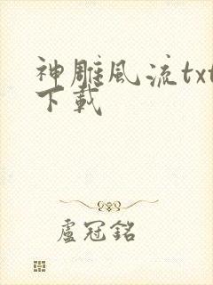 神雕风流txt下载