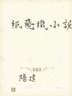 纸飞机小说