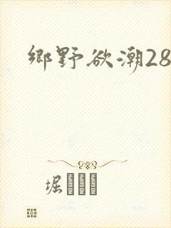 乡野欲潮28章