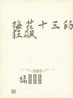 梅花十三的乳液狂飙