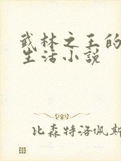 武林之王的退隐生活小说