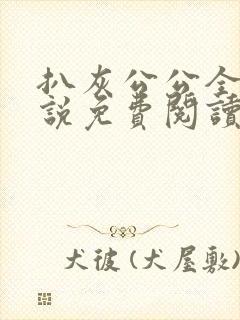 扒灰公公全部小说免费阅读全文