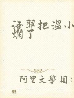 洛羿把温小辉做烂了