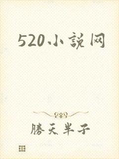 520小说网