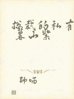 总裁的私有宝贝 暮山紫